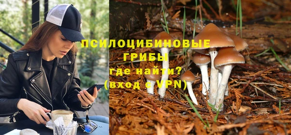 герыч Алзамай